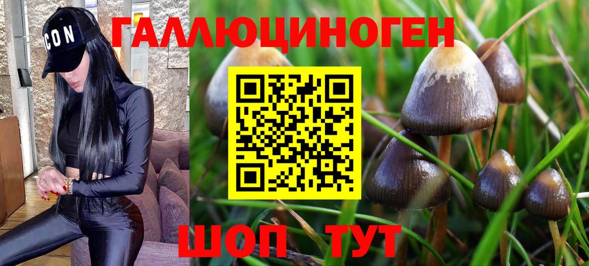 Донецк  Псилоцибиновые грибы Magic Shrooms  Вход с VPN 